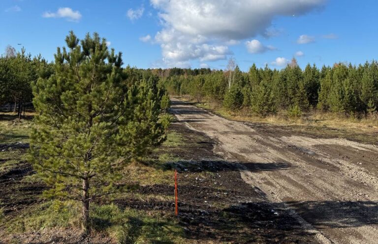 photo_2025-10-08_14-43-19